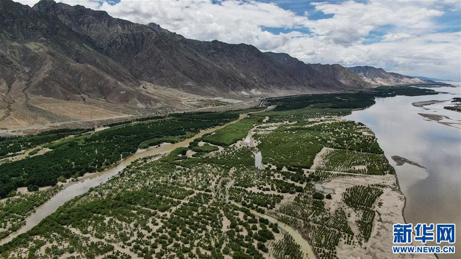 (環(huán)境)(3)雅江沿岸綠意濃