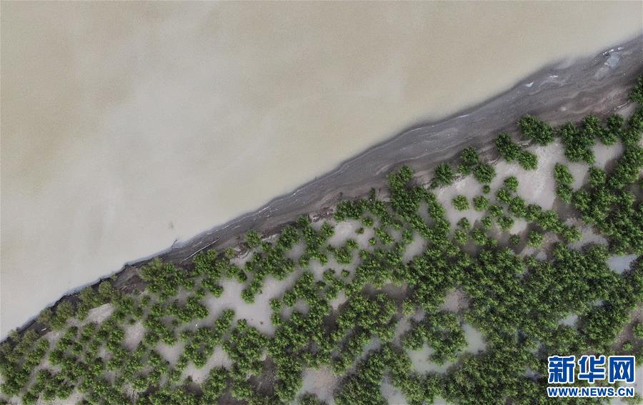 (環(huán)境)(4)雅江沿岸綠意濃