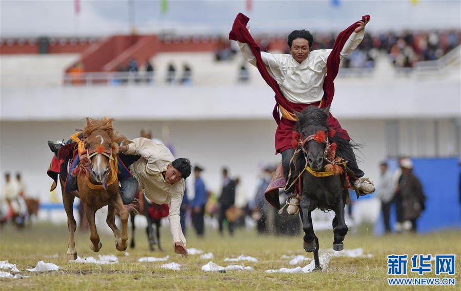 (體育)(14)西藏那曲:馬背競技