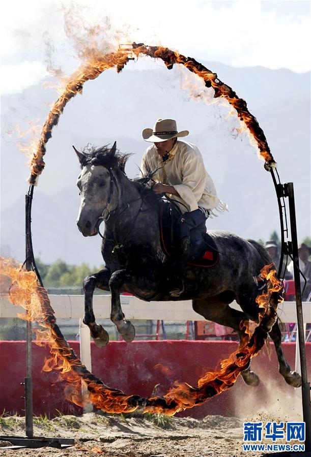 (體育)(4)民族體育——拉薩舉行民族傳統(tǒng)馬術(shù)表演