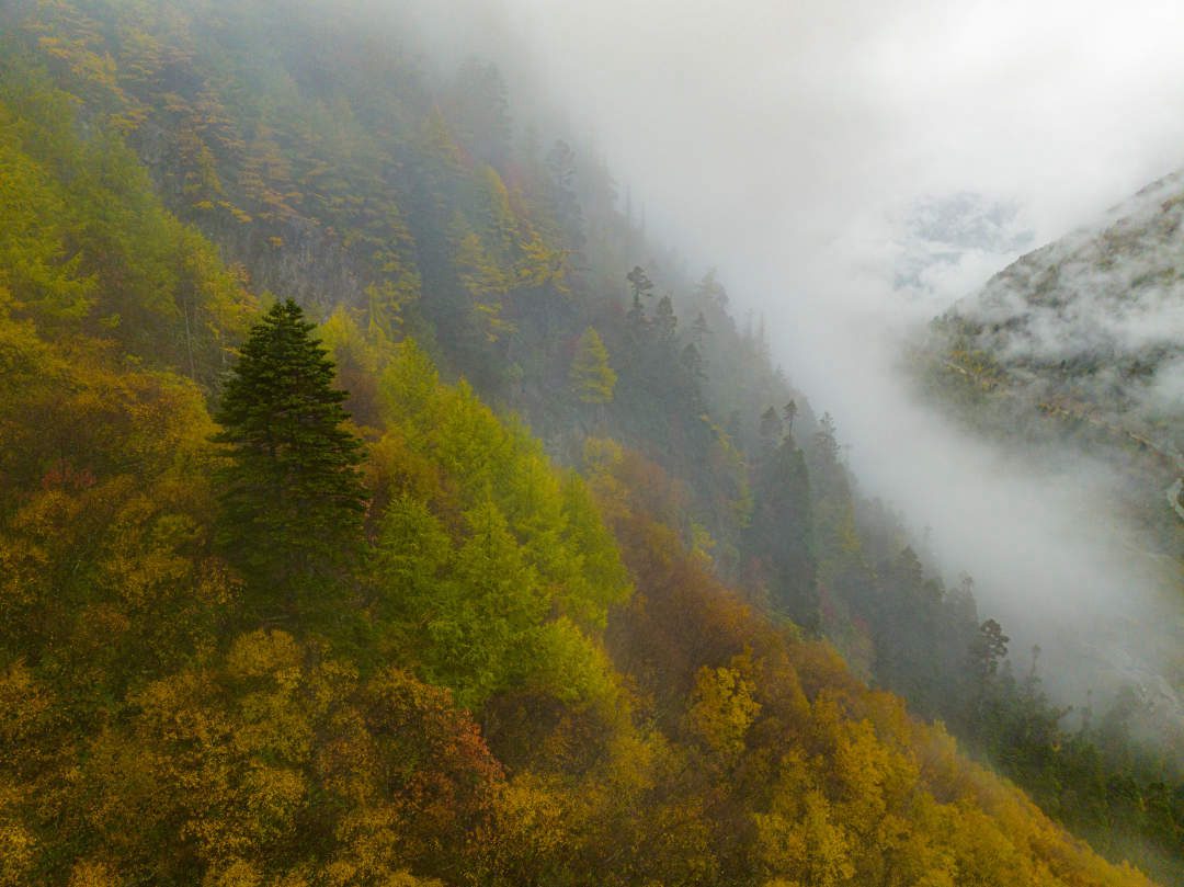 云纏霧繞，層林盡染。