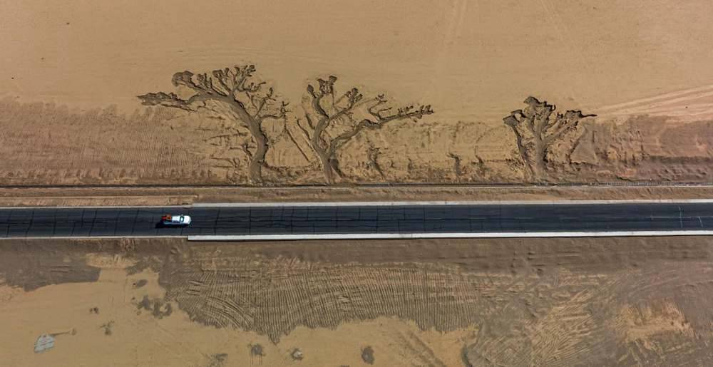 位于國(guó)道216沿線的“大地之樹”。邊巴多吉攝