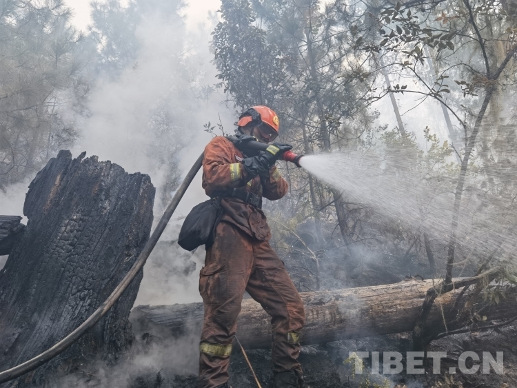 5 阿旺旦培攝 察雅“4.30”任務中撲打火頭.jpg 5 阿旺旦培攝 察雅“4.30”任務中撲打火頭.jpg