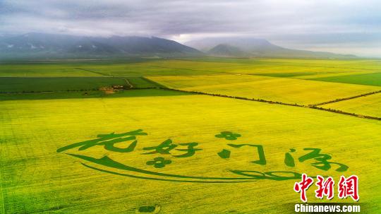 全國(guó)飛手齊聚高原“瞰見(jiàn)門源”展現(xiàn)青海萬(wàn)畝金色花海