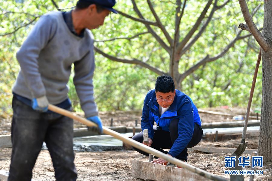 (脫貧攻堅·圖片故事)(8)“90后新農(nóng)人”的返鄉(xiāng)致富路