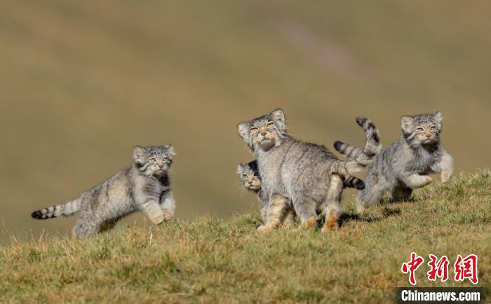 圖為李善元獲獎作品《當媽媽說跑步前進》?！±钌圃?攝