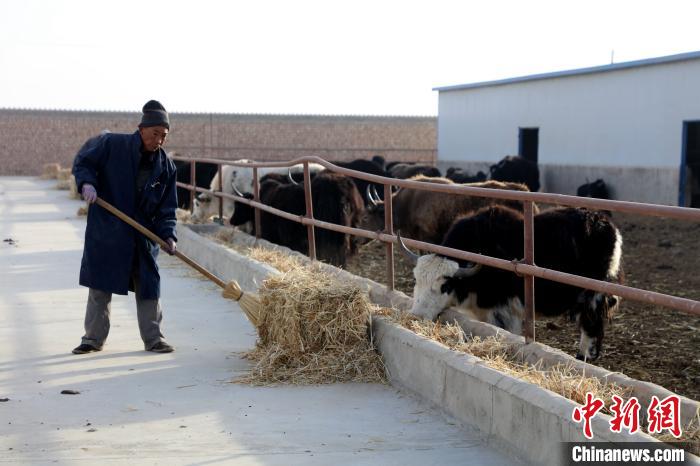 柴達(dá)木盆地蓮湖村：讓致富村民生活“?！逼饋? oldsrc=