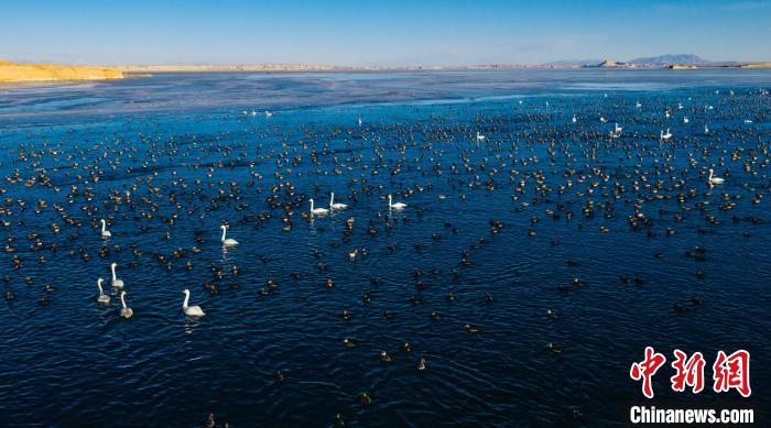 《柴達(dá)木盆地重點流域生態(tài)保護(hù)規(guī)劃》編制調(diào)研工作正式啟動