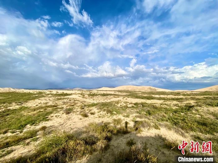 圖為關(guān)停四年后的沙島景區(qū)現(xiàn)狀?！±罱瓕?攝