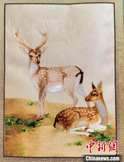 圖為藏繡作品?！∑钤鲚?攝