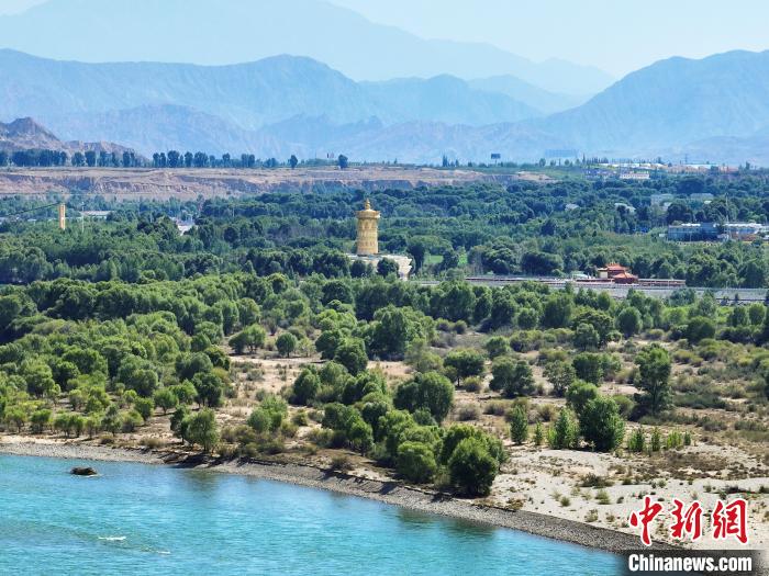 航拍貴德縣黃河岸畔綠意盎然。　馬銘言 攝
