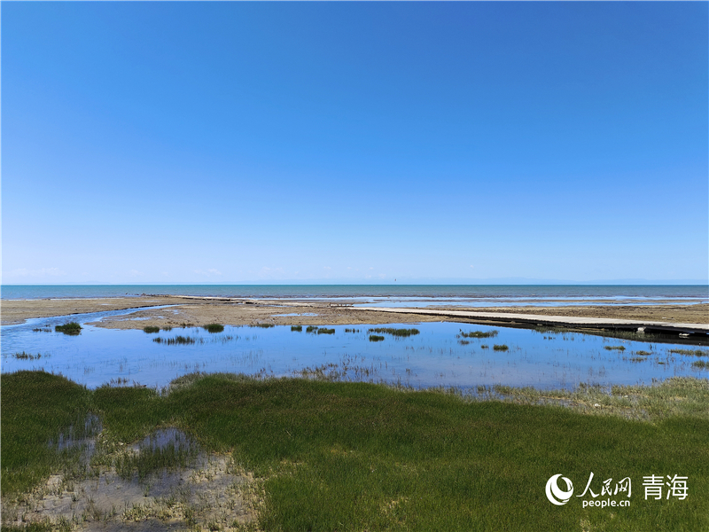   青海湖仙女灣。人民網(wǎng) 張莉萍攝