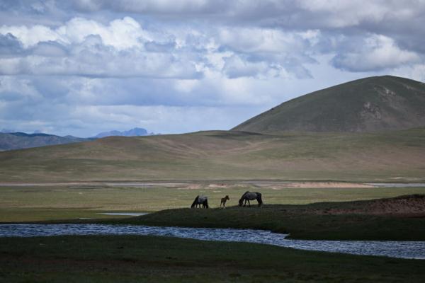 唐古拉山腳下，聽(tīng)牧民講述長(zhǎng)江源生活變遷