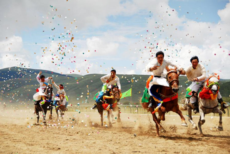 草原賽馬。阿壩州新聞傳媒中心供圖