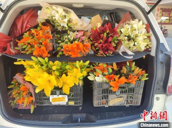 剛剛采摘下來的百合花?！∪捞量h委宣傳部供圖