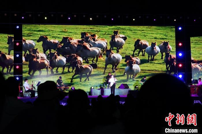 瀾滄江源草原夜：中外來(lái)賓藏歌悠揚(yáng)中仰望星空