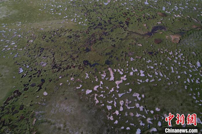 航拍查旦濕地?！●R銘言 攝