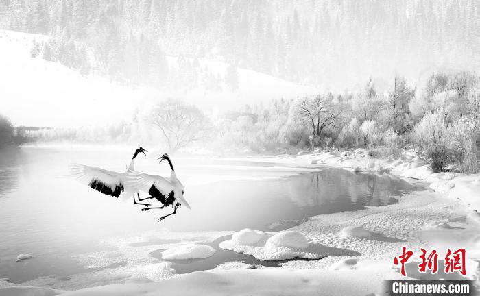 圖為焦生福的作品《鶴嬉雪林》?！∏嗪Ｊ∑钸B山自然保護(hù)協(xié)會(huì)供圖