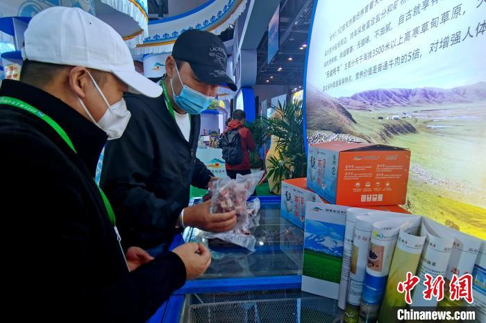 圖為青海參展商整理牛羊肉。　李雋 攝