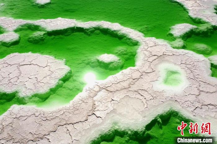 青?！拔鞔箝T”茫崖多舉措蓄能鹽湖產(chǎn)業(yè)發(fā)展