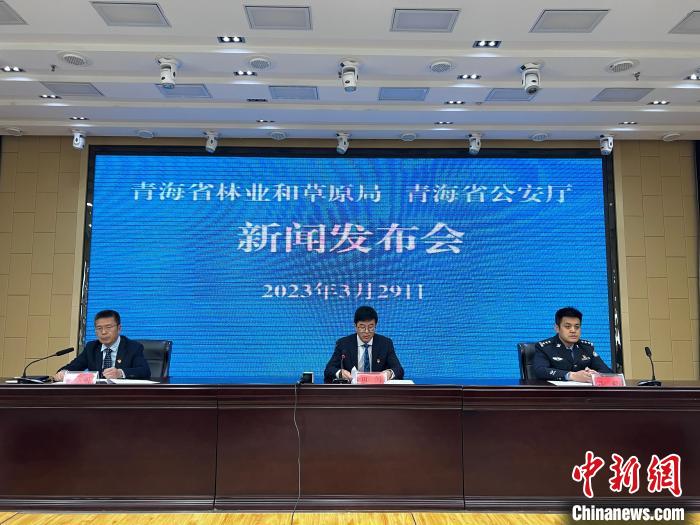 青海去年占用林地、草地準(zhǔn)予許可件同比實(shí)現(xiàn)“雙減”