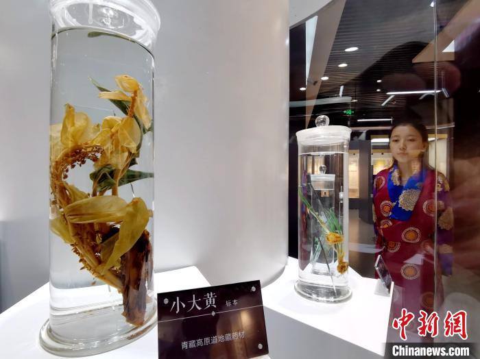 青海中藏醫(yī)藥發(fā)展提速：建設(shè)一批重點專科學科，推廣一批適宜技術(shù)