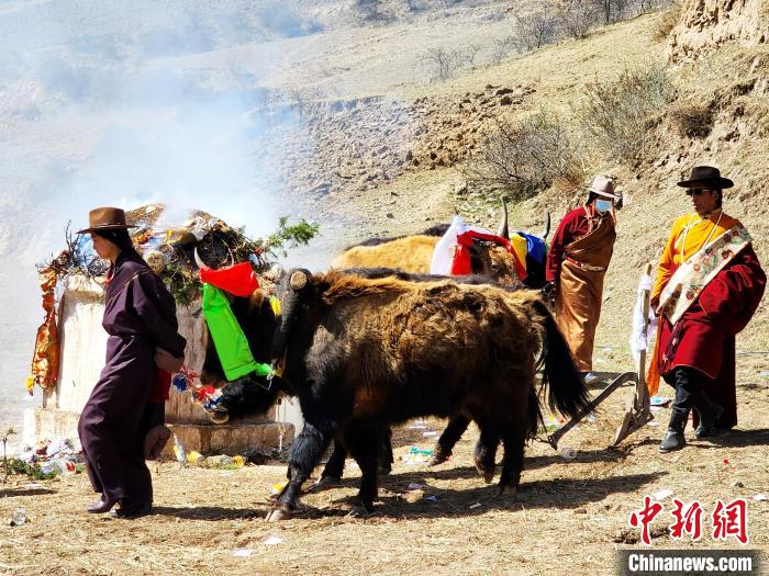 圖為春耕儀式現(xiàn)場?！⊥觖惿?供圖