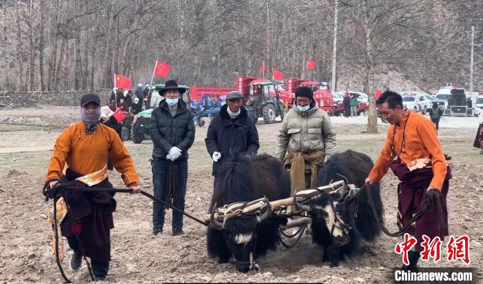 圖為活動現(xiàn)場當?shù)厝罕娬故緜鹘y(tǒng)春耕方式?！±罱瓕?攝