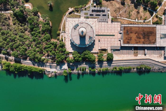 航拍青海貴德黃河岸畔綠意濃濃?！≮w凜松 攝