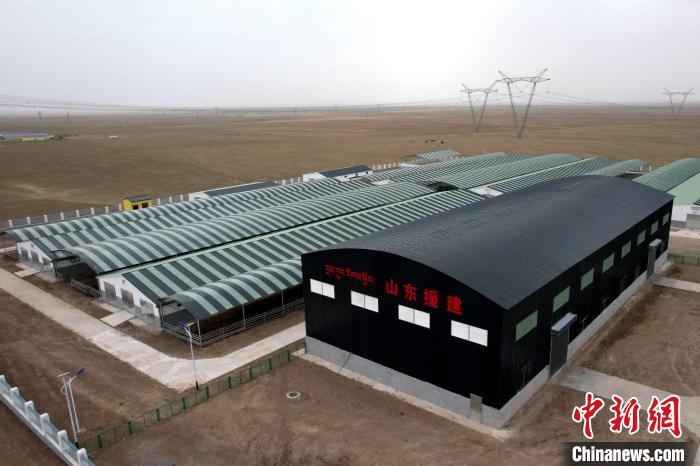 圖為航拍生態(tài)畜牧業(yè)集中規(guī)?；B(yǎng)殖基地?！〔讨绢?攝