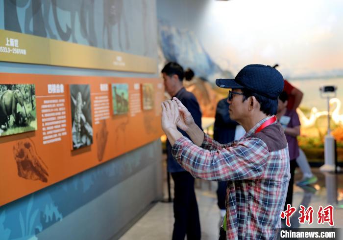圖為臺商在祁連山國家公園生態(tài)科普館觀看墻面藝術(shù)圖文?！⊙Φ?攝
