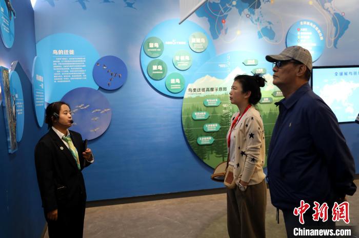 圖為臺(tái)商在祁連山國(guó)家公園生態(tài)科普館內(nèi)聆聽(tīng)講解?！⊙Φ?攝