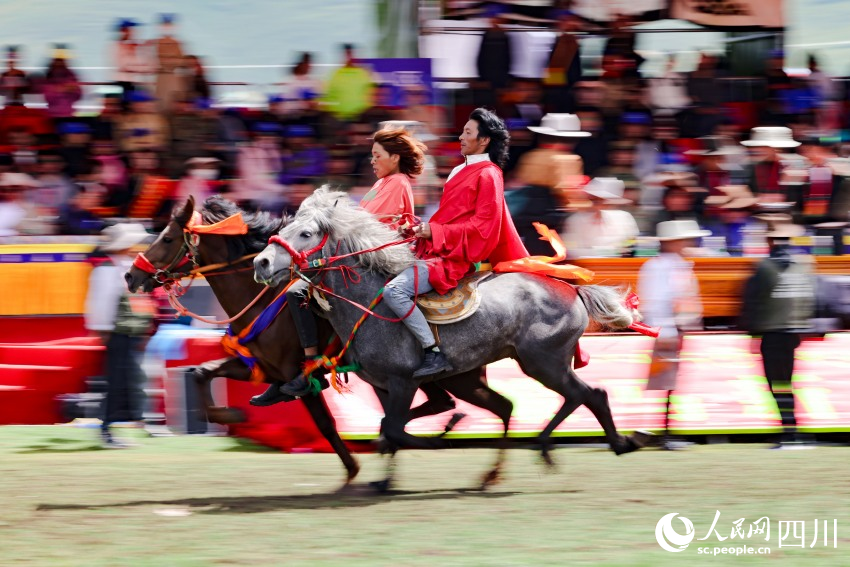 馬術(shù)表演現(xiàn)場。洛絨尼瑪攝