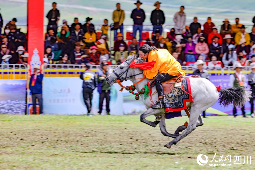 馬術(shù)表演現(xiàn)場。洛絨尼瑪攝