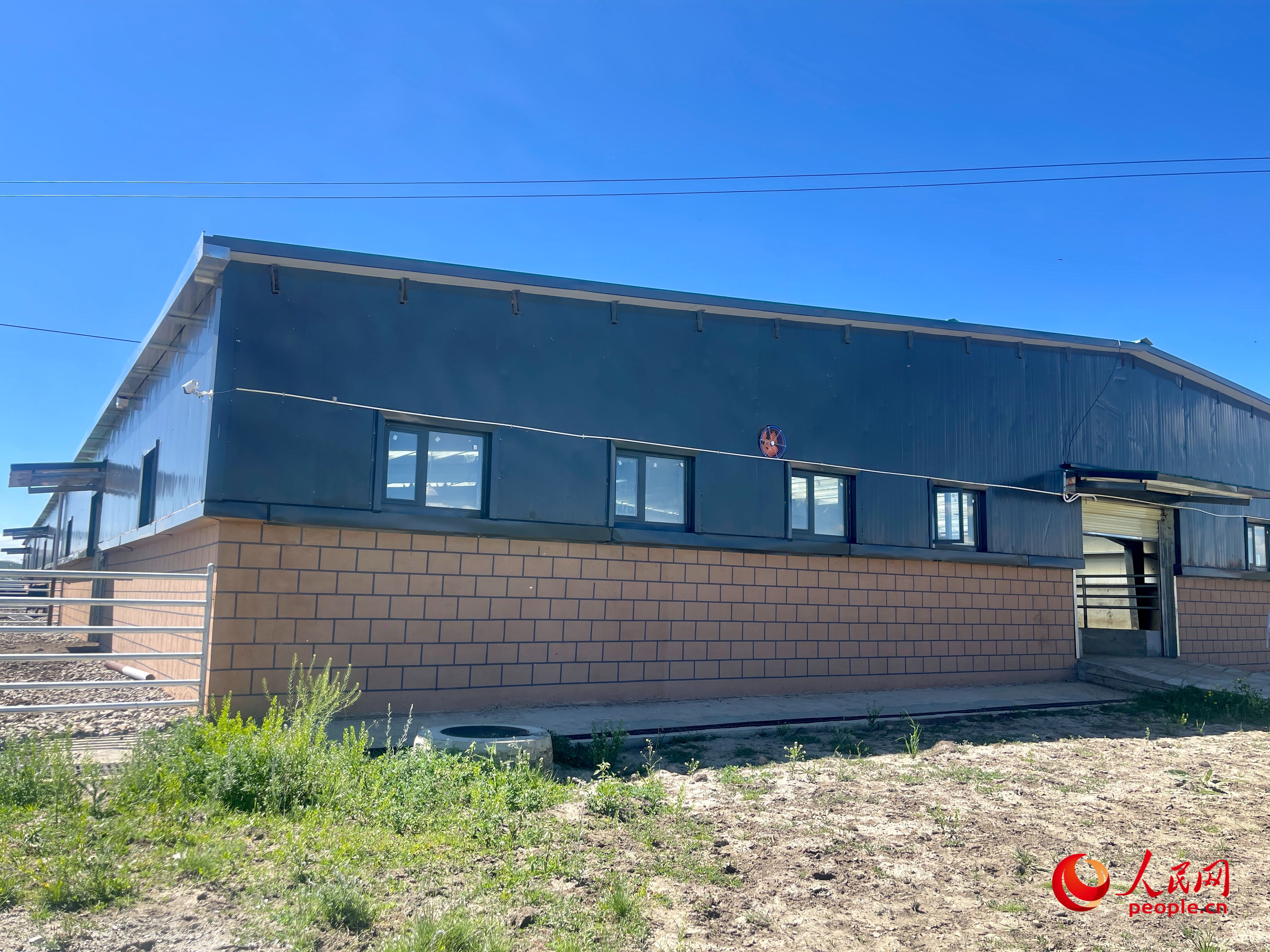 唐日合作社。人民網(wǎng) 周靜圓攝