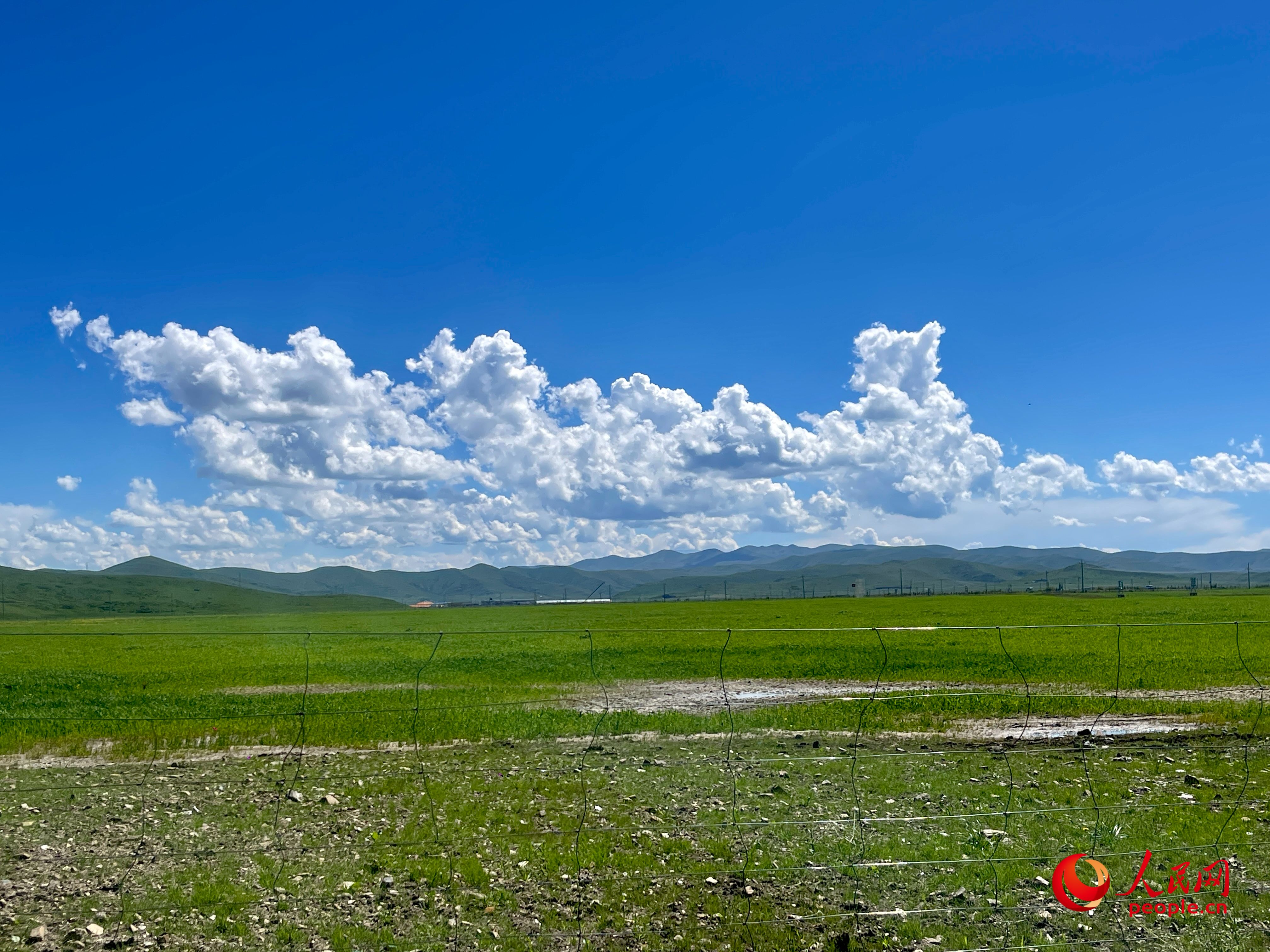 唐日合作社附近，藍(lán)天白天、綠草如茵。人民網(wǎng) 周靜圓攝