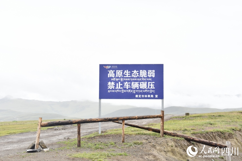 禁止車輛碾壓草原的提示牌。人民網(wǎng)記者 王洪江攝