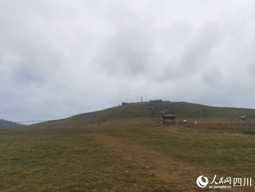 甘孜州塔公草原。人民網(wǎng)記者 王洪江攝