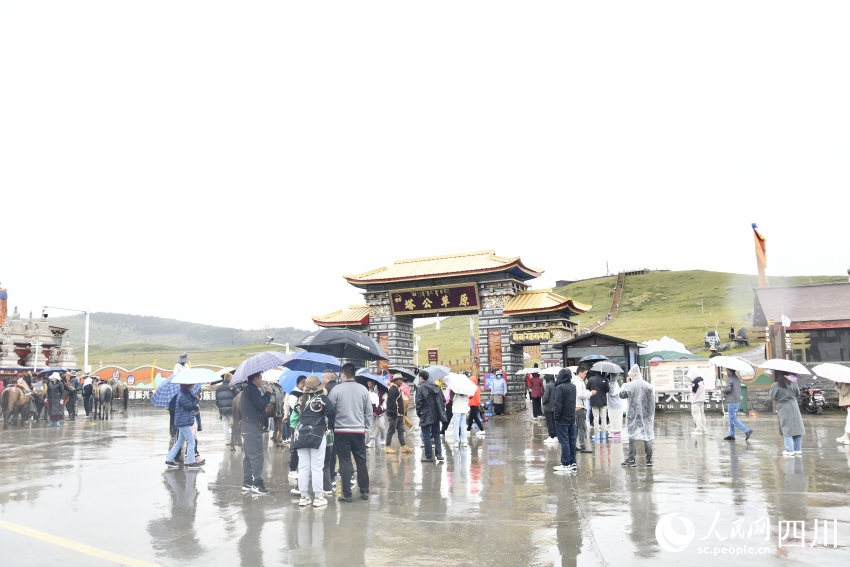 甘孜州塔公草原。人民網(wǎng)記者 王洪江攝