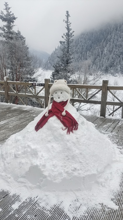游客堆的雪人。九管局供圖