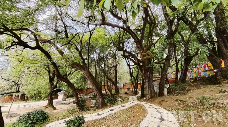 MTXX_MH20240329_081304943.jpg MTXX_MH20240329_081304943.jpg