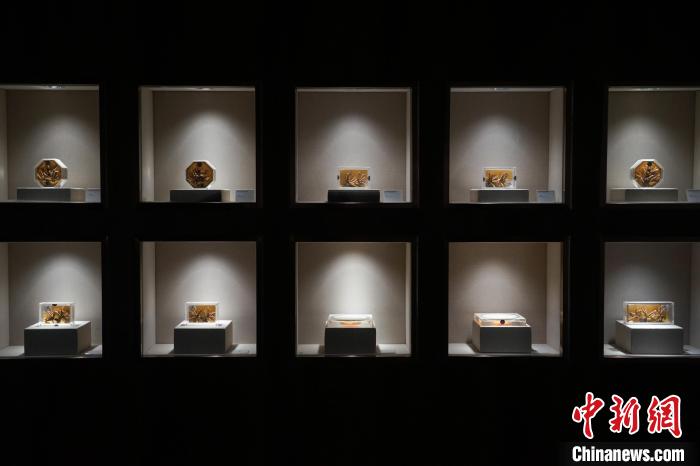 青海冬蟲(chóng)夏草采挖季民眾走進(jìn)博物館了解蟲(chóng)草文化