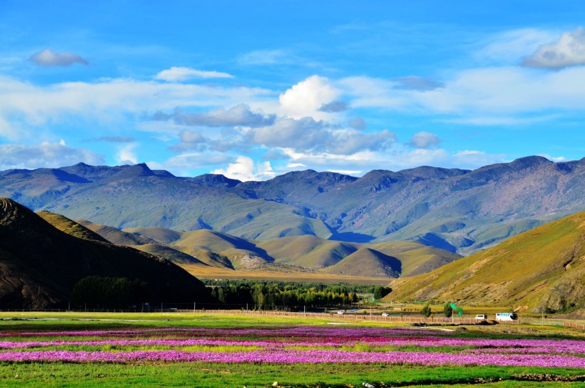 稻城風(fēng)光。稻城縣委宣傳部供圖