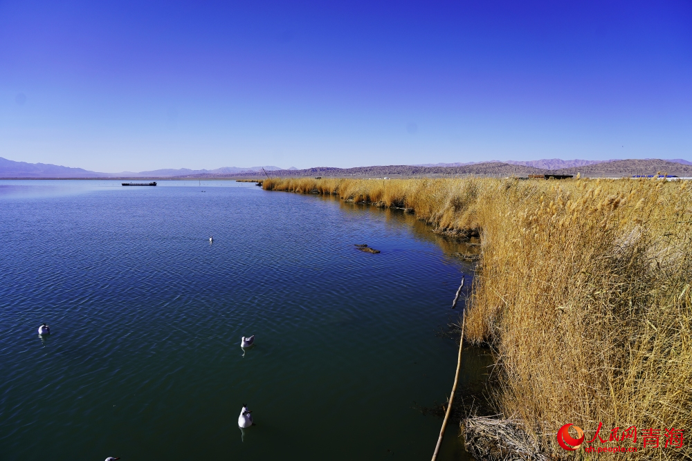 可魯克湖秋色如畫。人民網(wǎng) 陳明菊攝