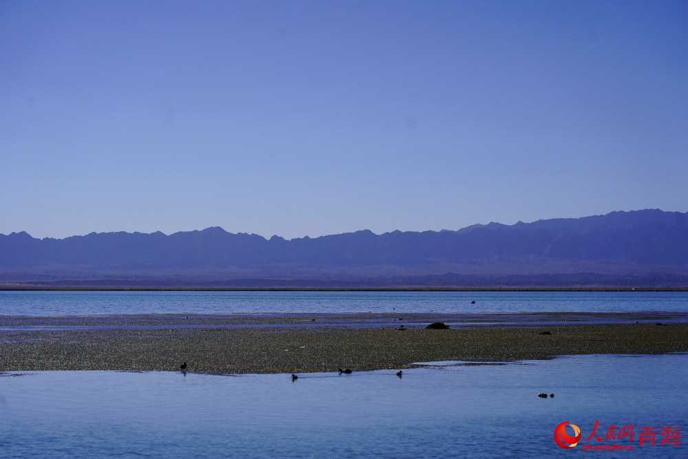 安靜的可魯克湖。人民網(wǎng) 陳明菊攝