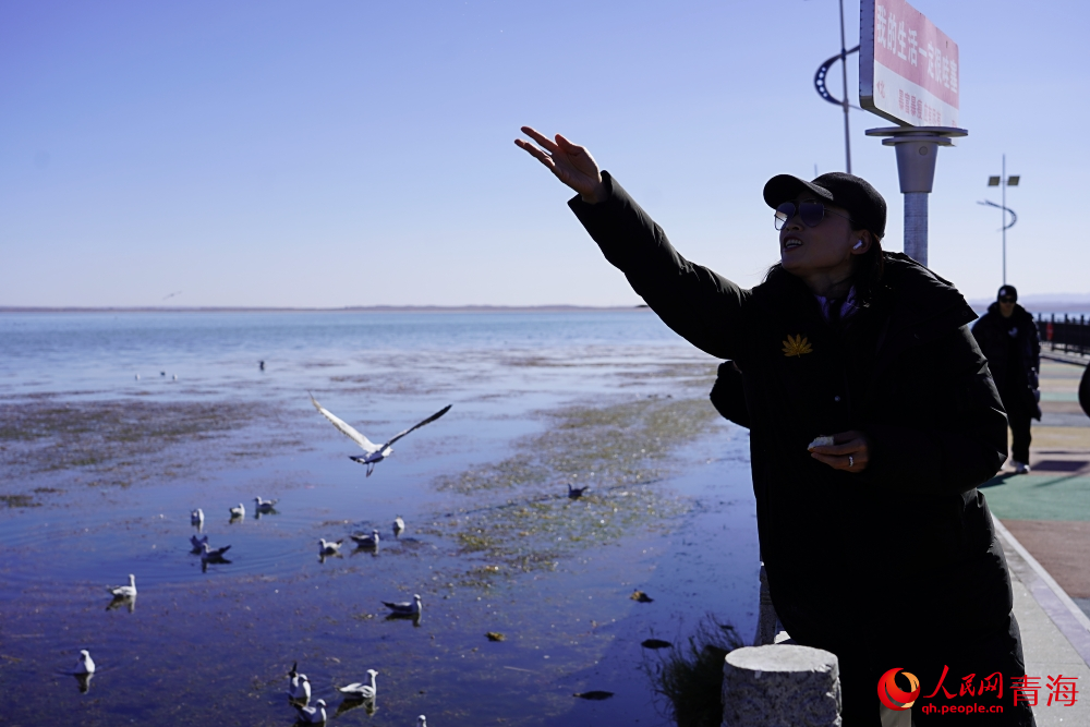 游客投喂水鳥(niǎo)。人民網(wǎng) 陳明菊攝