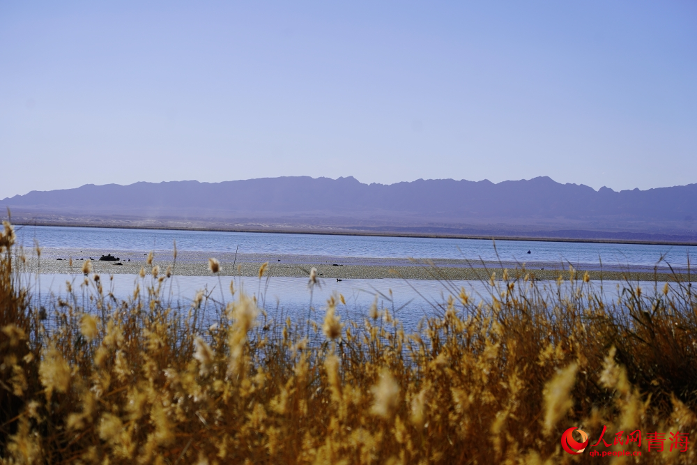 可魯克湖秋色如畫。人民網(wǎng) 陳明菊攝