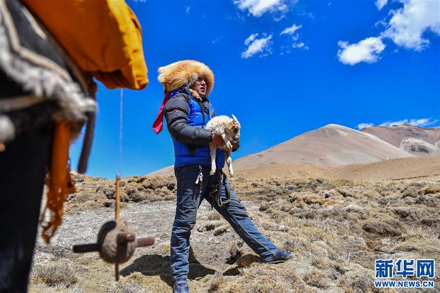 (脫貧攻堅(jiān))(6)扎西分家記:珠峰腳下的脫貧故事