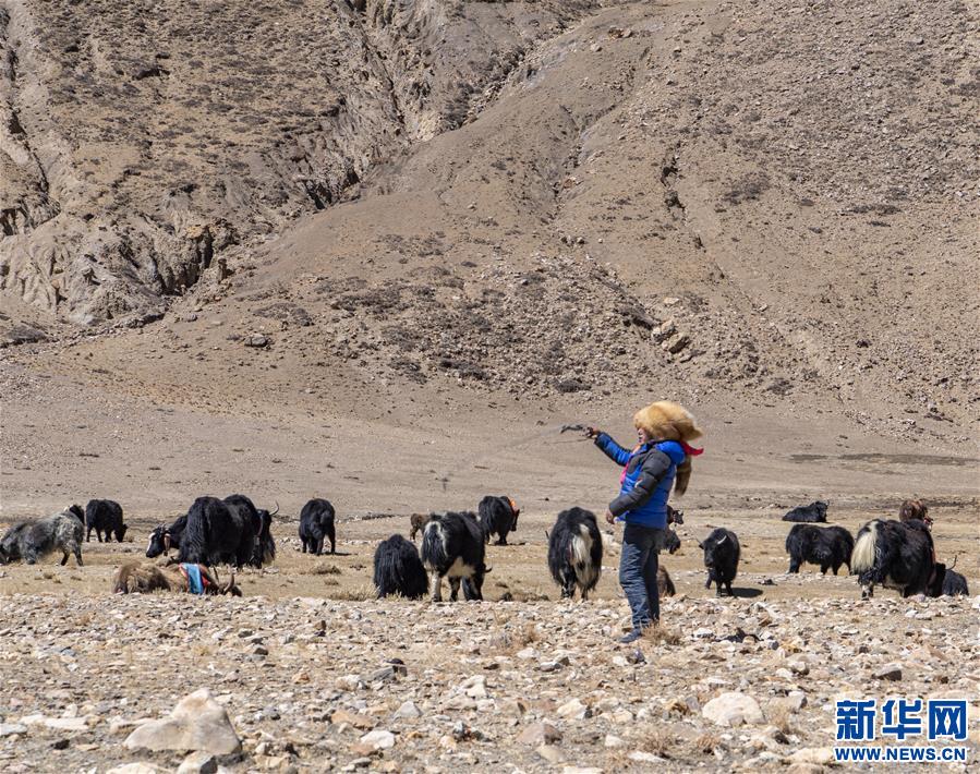 (脫貧攻堅(jiān))(10)扎西分家記:珠峰腳下的脫貧故事