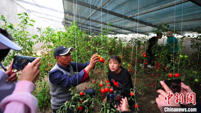 圖為群培(左)為青年職工進(jìn)行技術(shù)指導(dǎo)。　張偉 攝